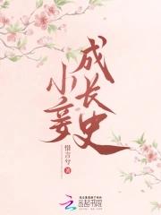 小妾