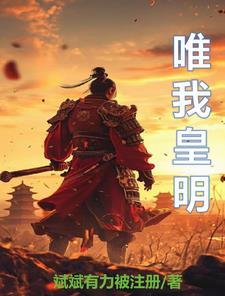 明末朱慈照