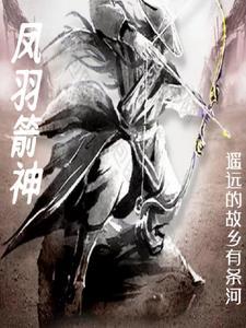 箭羽风息最低价