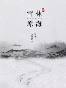 新林海雪原40集
