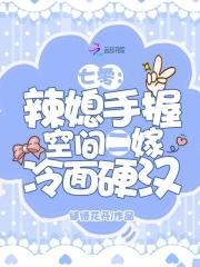 辣媳萌宝不好惹