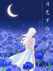 月光下的诉说原唱