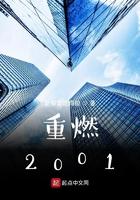 重燃2001吴楚之免费阅读