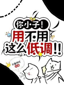 你这小子的意思
