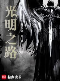 光明之路国家电网