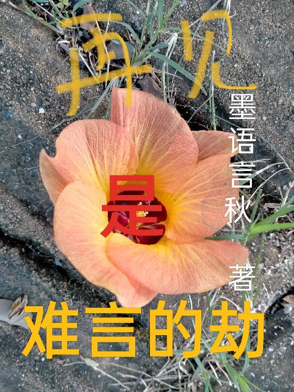 再见容易 再见难
