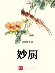 妙厨须弥普普TXT奇书网
