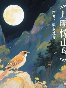 鸟鸣涧月出惊山鸟