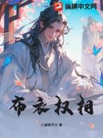 布衣权相短剧