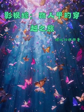 综穿之路人甲的视角
