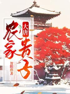 穿越大唐农家子弟挣钱忙的