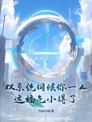啥叫双系统