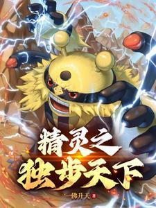 精灵宝可梦之登神长街陈轩