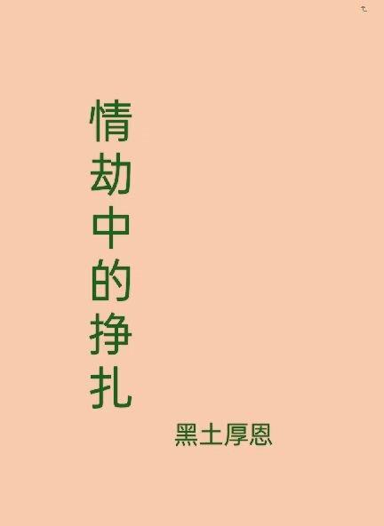情中劫