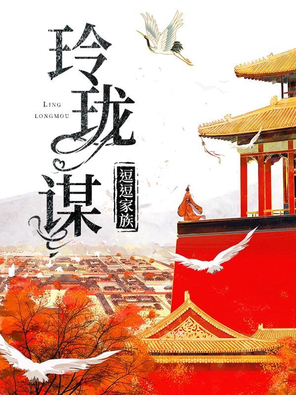 玲珑谋讲的什么