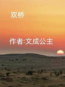 双桥经济开发区
