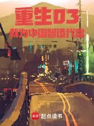 2003从外贸开始无错如梦如华