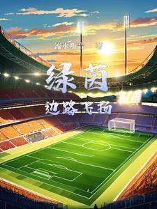 足球 系统