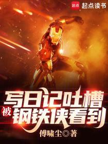 被钢铁侠看到无错