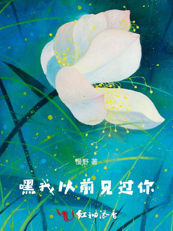 我之前见过你的英文