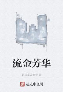 电视剧流金年华