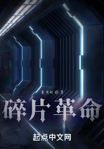 碎片是什么东西