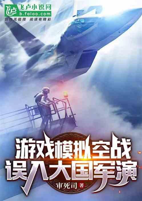 空战模拟视频