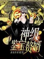 鉴宝之超神赘婿txt
