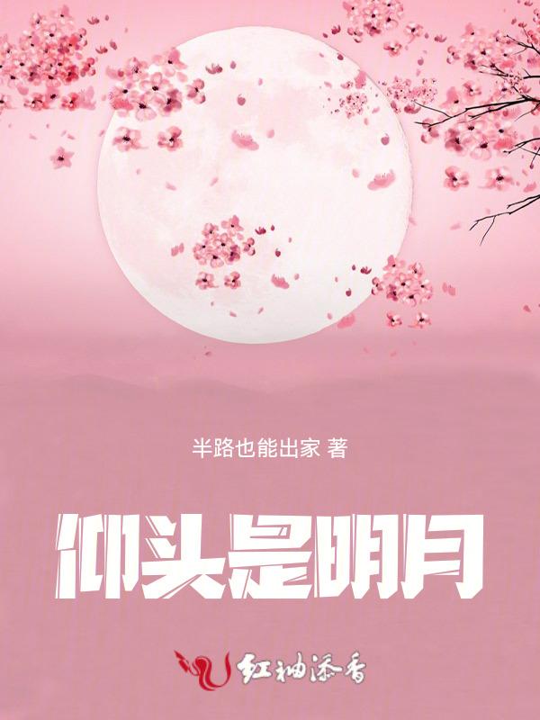 仰望明月的诗