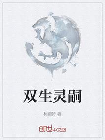 双生灵的相位