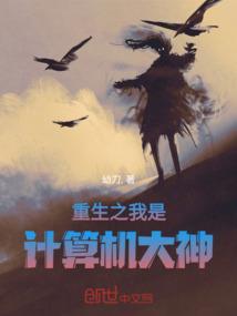 重生计算机天才