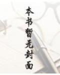 飞燕惊龙1985版全集