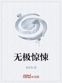 电影无极讲的什么意思