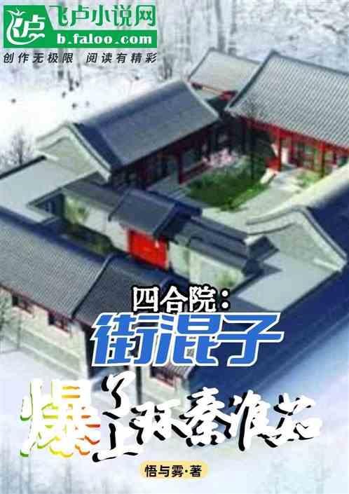 四合院街混子曝光上环秦淮茹