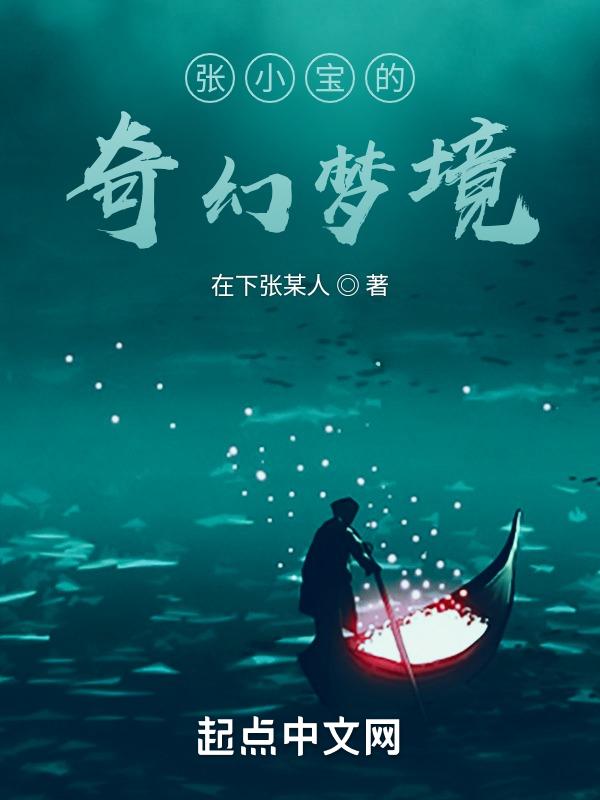 张小宝画家