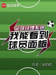 足球经理当前能力