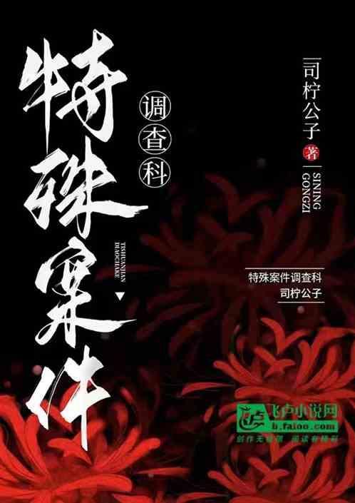 特殊案件调查组讲什么