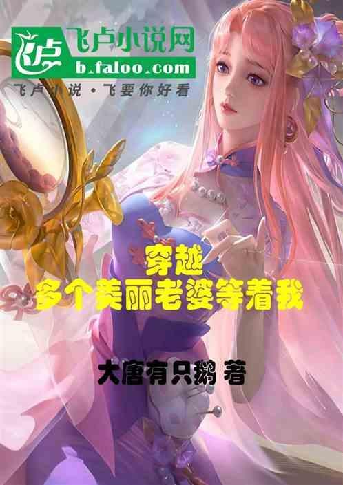穿越有好多老婆的