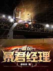 篮坛暴君经理TXT