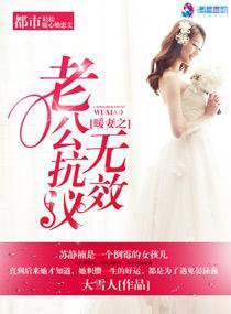 暖婚甜妻老公温柔点