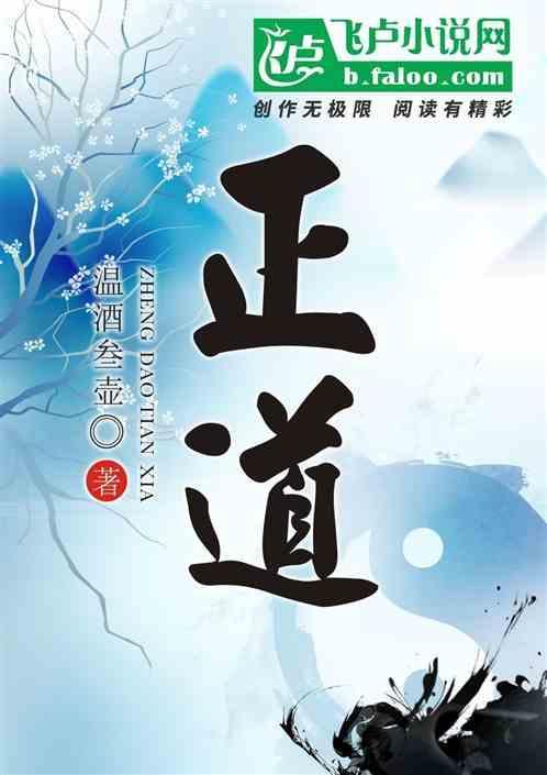 正道红途李初年免费阅读宜