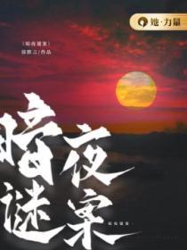 暗夜谜案免费观看