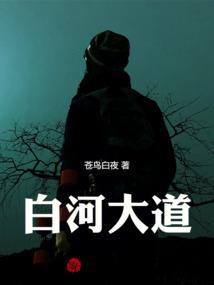 白河大道最新规划
