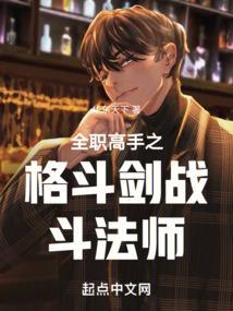 全职高手之最强拳法家