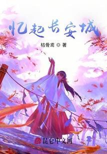 忆长安翻译
