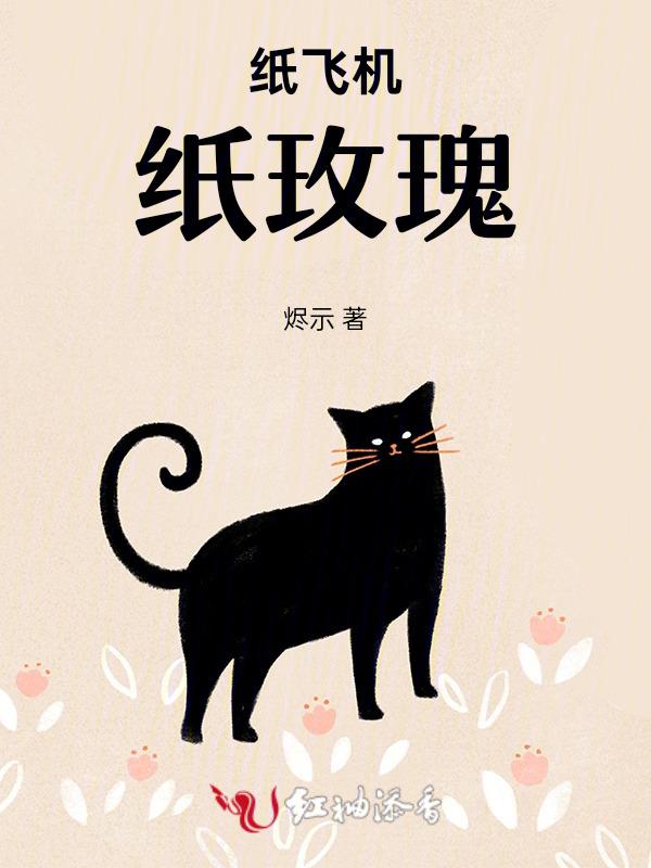 纸飞机好看的叠法