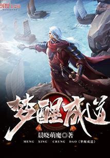夏易风男主的