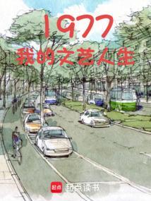 1977我的文艺人生152章