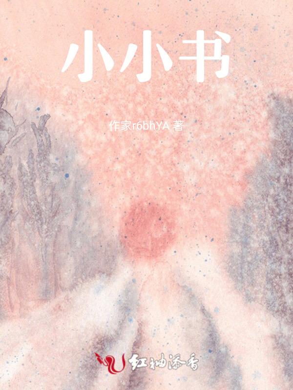 小小追书