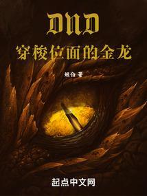dnd金龙数据